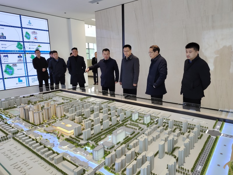 戴勇區長調研新民河產城融合項目